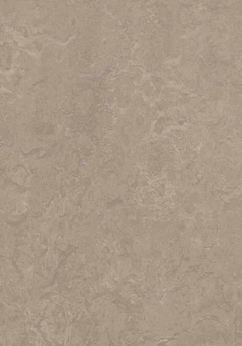 Marmoleum Decibel Sheet Real - Sparrow B&R: Flooring & Carpeting Forbo USA 