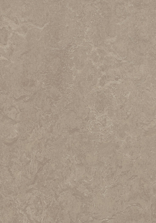 Marmoleum Decibel Sheet Real - Sparrow B&R: Flooring & Carpeting Forbo USA 
