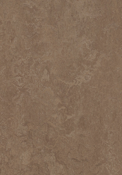 Marmoleum Sheet Real - Clay B&R: Flooring & Carpeting Forbo USA 