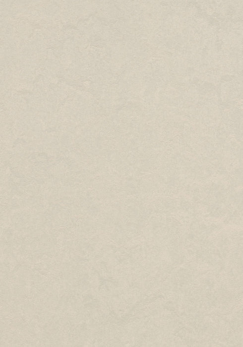Marmoleum Sheet Real - Edelweiss B&R: Flooring & Carpeting Forbo USA 