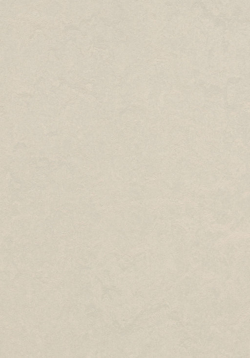Marmoleum Sheet Real - Edelweiss B&R: Flooring & Carpeting Forbo USA 