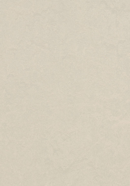 Marmoleum Sheet Real - Edelweiss B&R: Flooring & Carpeting Forbo USA 