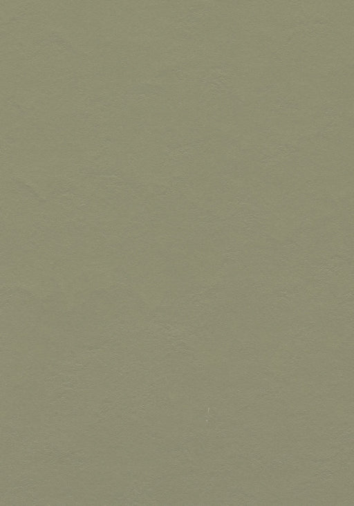 Marmoleum Sheet Walton - Rosemary Green B&R: Flooring & Carpeting Forbo USA 