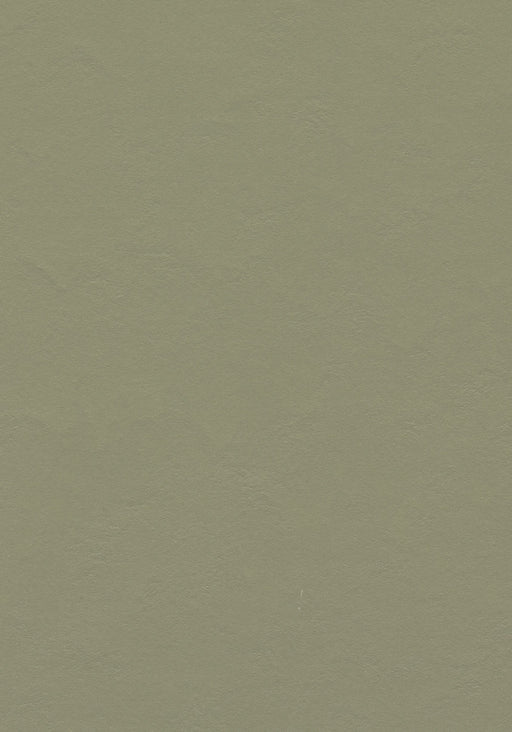 Marmoleum Sheet Walton - Rosemary Green B&R: Flooring & Carpeting Forbo USA 