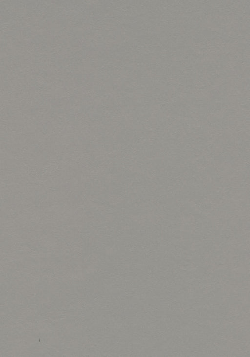 Marmoleum Sheet Walton - Alloy B&R: Flooring & Carpeting Forbo USA 