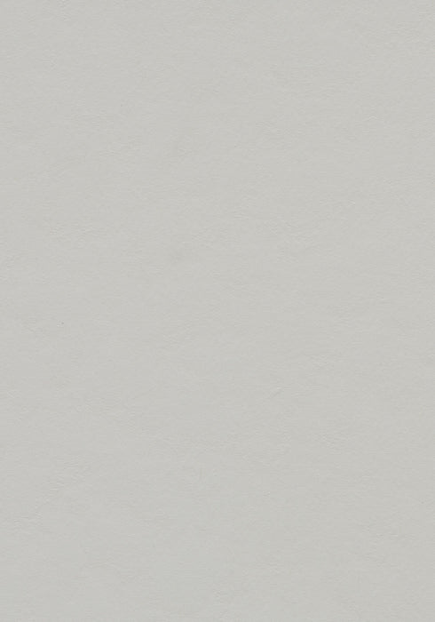 Marmoleum Sheet Walton - Titanium B&R: Flooring & Carpeting Forbo USA 