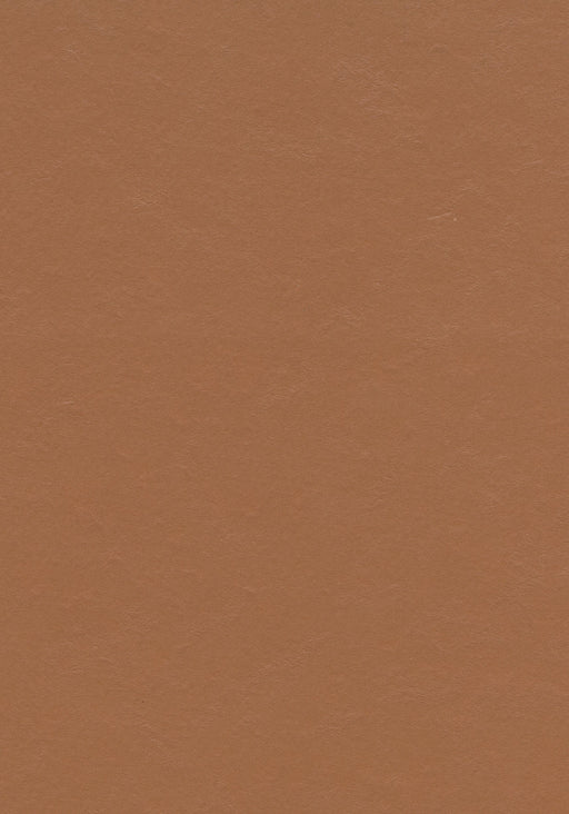 Marmoleum Sheet Walton - Terracotta B&R: Flooring & Carpeting Forbo USA 