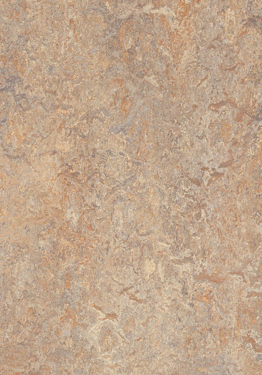 Marmoleum Sheet Vivace - Donkey Island B&R: Flooring & Carpeting Forbo USA 