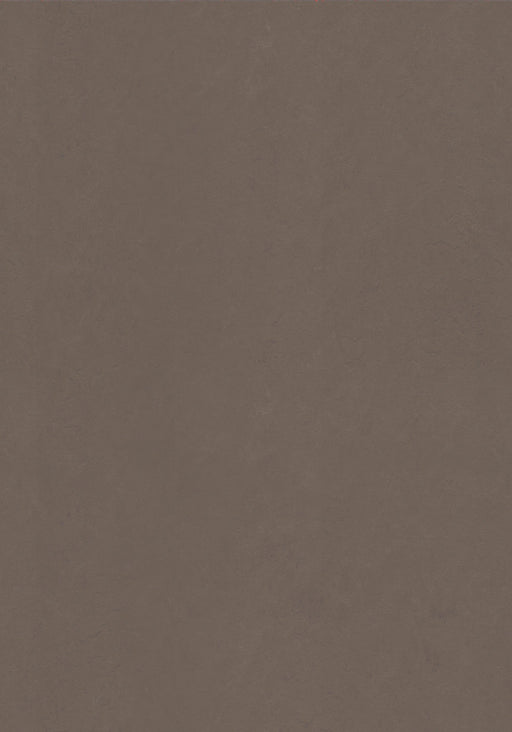 Marmoleum Sheet Concrete - Delta Lace B&R: Flooring & Carpeting Forbo USA 