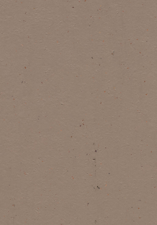 Marmoleum Sheet Cocoa - Milk Chocolate B&R: Flooring & Carpeting Forbo USA 