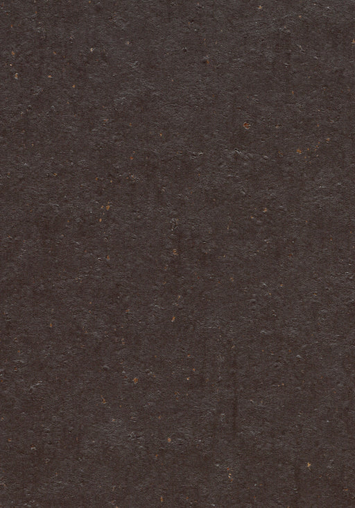 Marmoleum Sheet Cocoa - Dark Chocolate B&R: Flooring & Carpeting Forbo USA 