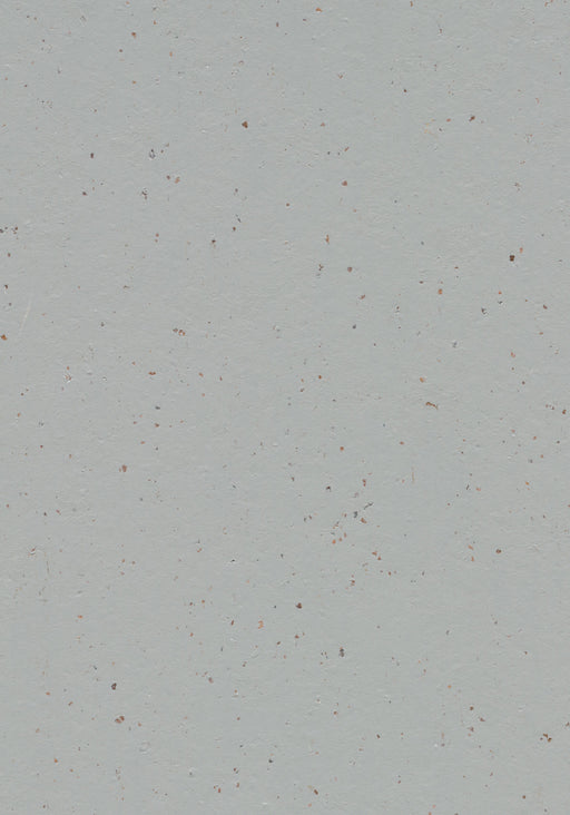 Marmoleum Sheet Cocoa - Earl Grey Chocolate B&R: Flooring & Carpeting Forbo USA 