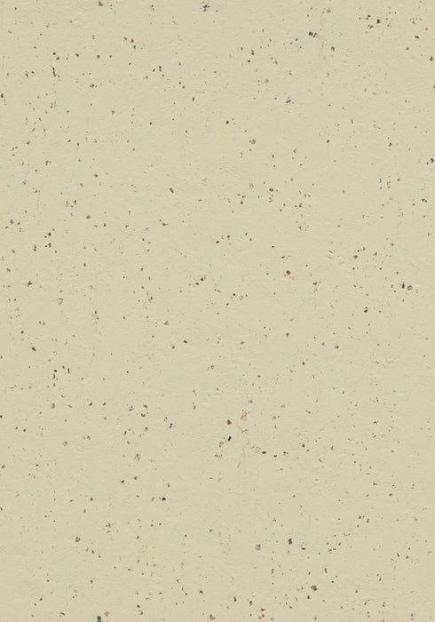 Marmoleum Sheet Cocoa - White Chocolate B&R: Flooring & Carpeting Forbo USA 