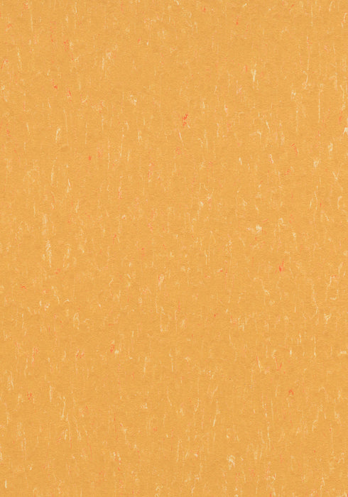 Marmoleum Sheet Piano - Mellow Yellow B&R: Flooring & Carpeting Forbo USA 