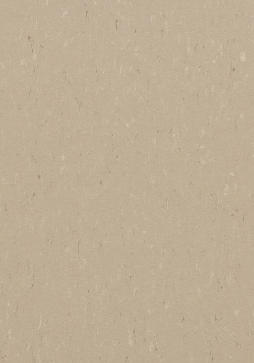Marmoleum Sheet Piano - Angora B&R: Flooring & Carpeting Forbo USA 