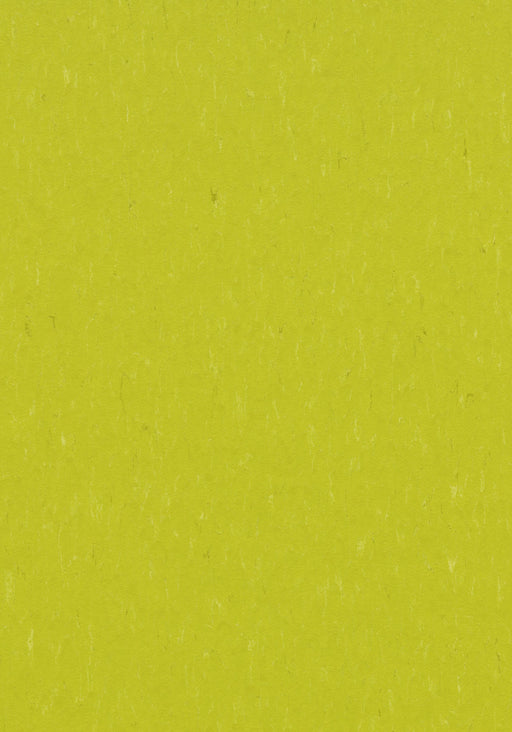Marmoleum Sheet Piano - Young Grass B&R: Flooring & Carpeting Forbo USA 