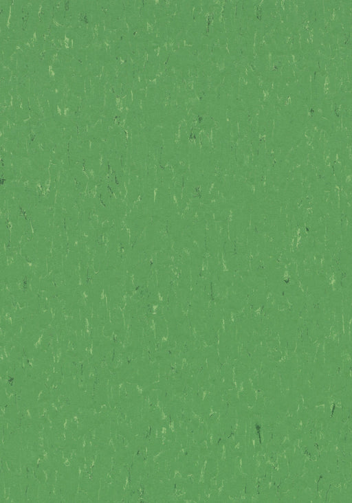 Marmoleum Sheet Piano - Nettle Green B&R: Flooring & Carpeting Forbo USA 