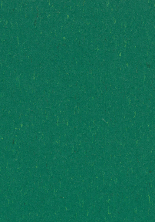 Marmoleum Sheet Piano - Greenwood B&R: Flooring & Carpeting Forbo USA 