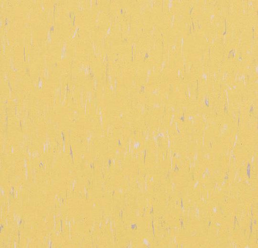 Marmoleum Composition Tile (MCT) - Sunflower 3653 B&R: Flooring & Carpeting Marmoleum 