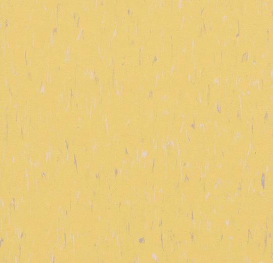 Marmoleum Composition Tile (MCT) - Sunflower 3653 B&R: Flooring & Carpeting Marmoleum 
