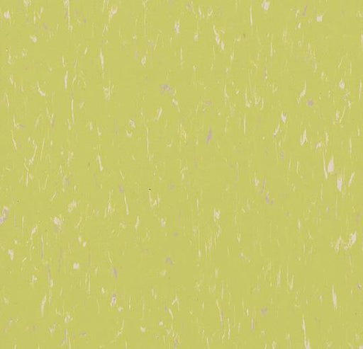 Marmoleum Composition Tile (MCT) - Orchid Green 3655 B&R: Flooring & Carpeting Marmoleum 