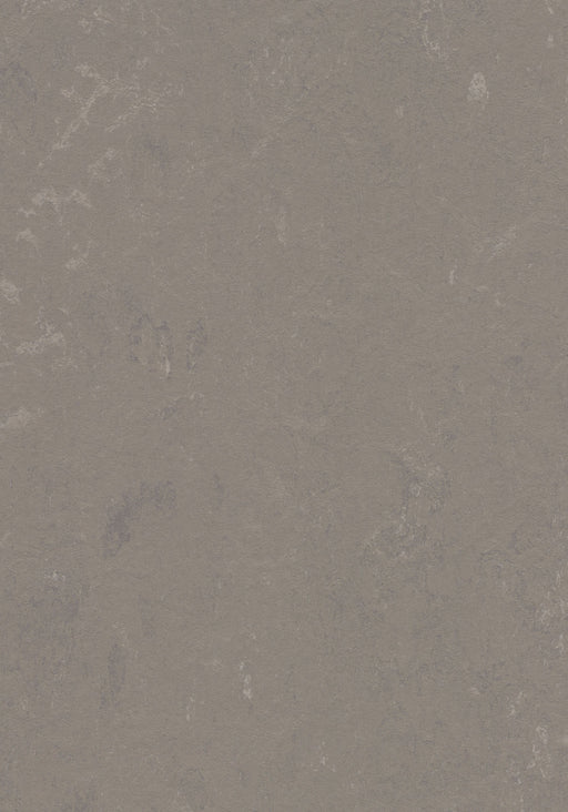 Marmoleum Sheet Concrete - Liquid Clay B&R: Flooring & Carpeting Forbo USA 