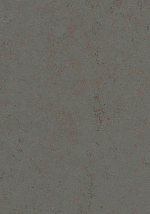 Marmoleum Sheet Concrete - Comet B&R: Flooring & Carpeting Forbo USA 