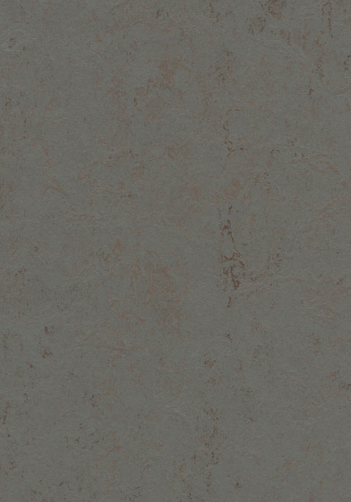 Marmoleum Sheet Concrete - Comet B&R: Flooring & Carpeting Forbo USA 