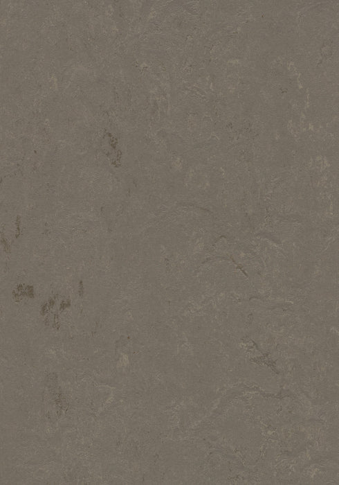 Marmoleum Sheet Concrete - Meteorite B&R: Flooring & Carpeting Forbo USA 