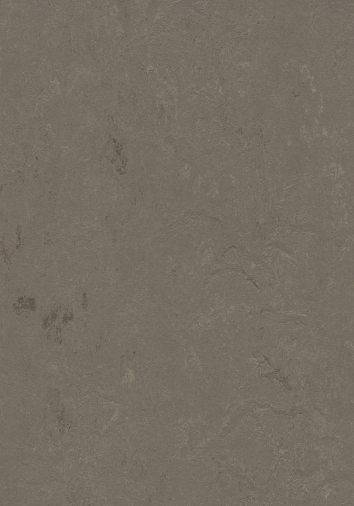 Marmoleum Sheet Concrete - Meteorite B&R: Flooring & Carpeting Forbo USA 