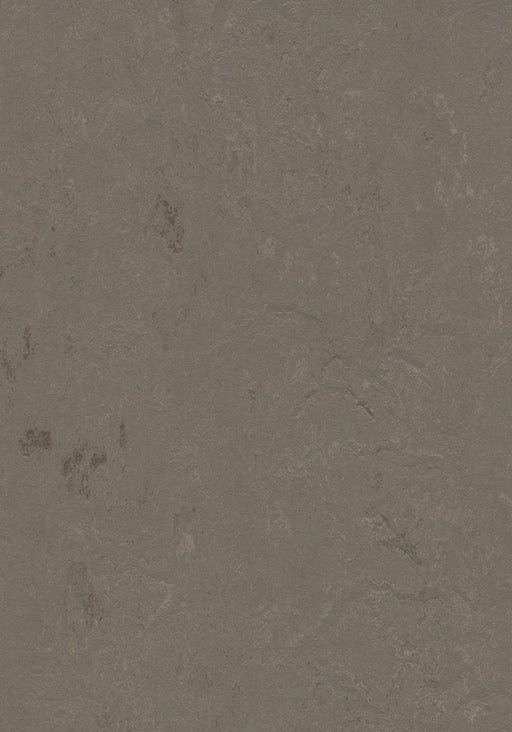 Marmoleum Sheet Concrete - Meteorite B&R: Flooring & Carpeting Forbo USA 