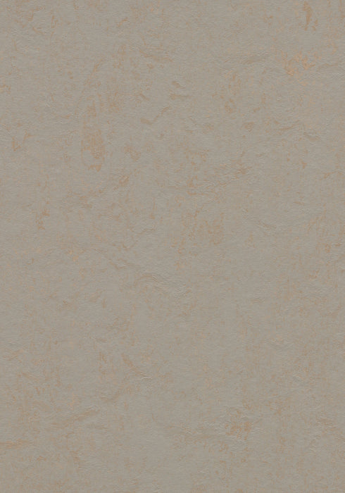 Marmoleum Sheet Concrete - Beton B&R: Flooring & Carpeting Forbo USA 