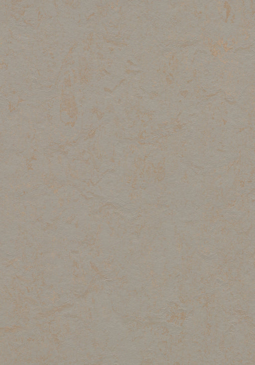 Marmoleum Sheet Concrete - Beton B&R: Flooring & Carpeting Forbo USA 