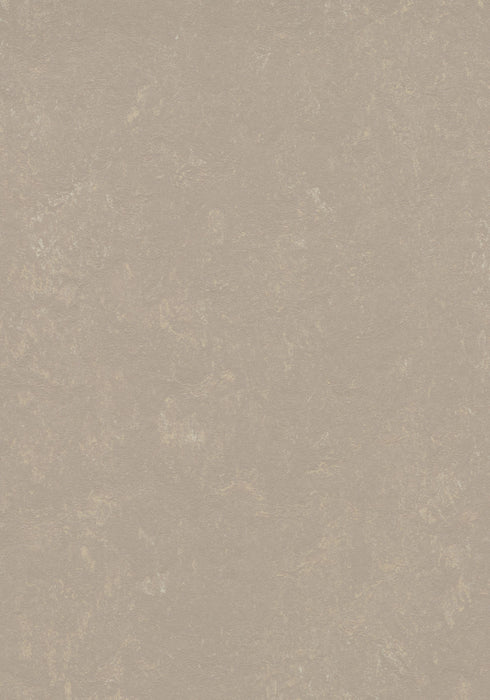 Marmoleum Sheet Concrete - Fossil B&R: Flooring & Carpeting Forbo USA 