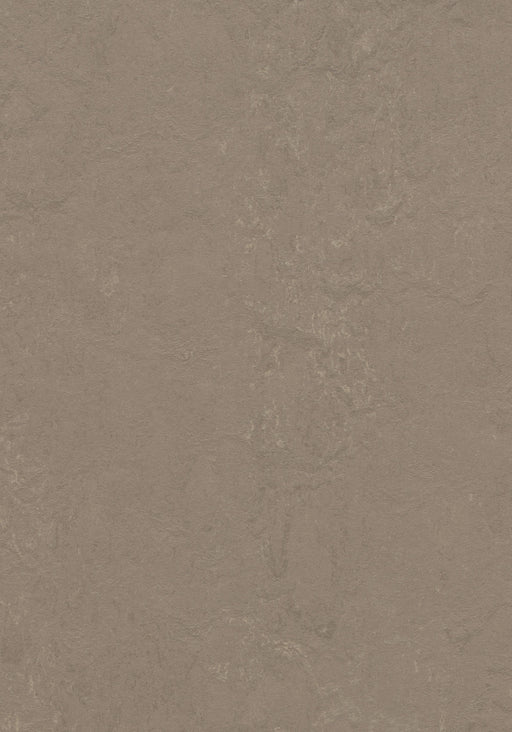 Marmoleum Decibel Sheet Concrete - Silt B&R: Flooring & Carpeting Forbo USA 
