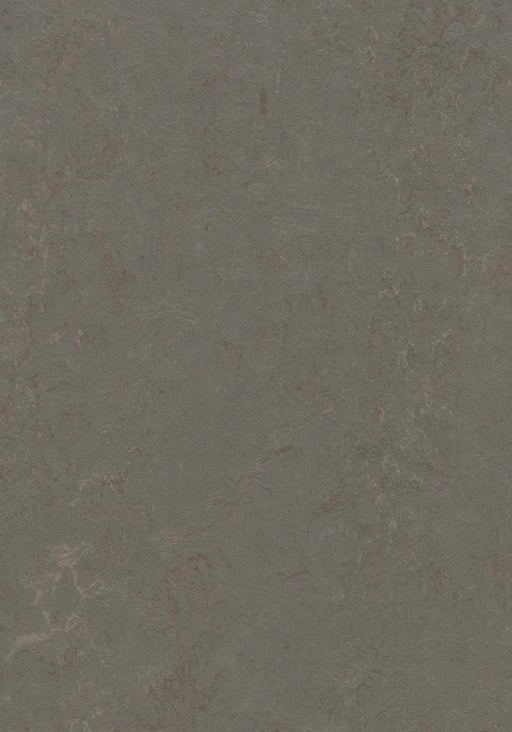 Marmoleum Decibel Sheet Concrete - Nebula B&R: Flooring & Carpeting Forbo USA 