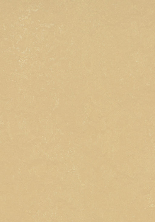 Marmoleum Sheet Concrete - Venus B&R: Flooring & Carpeting Forbo USA 