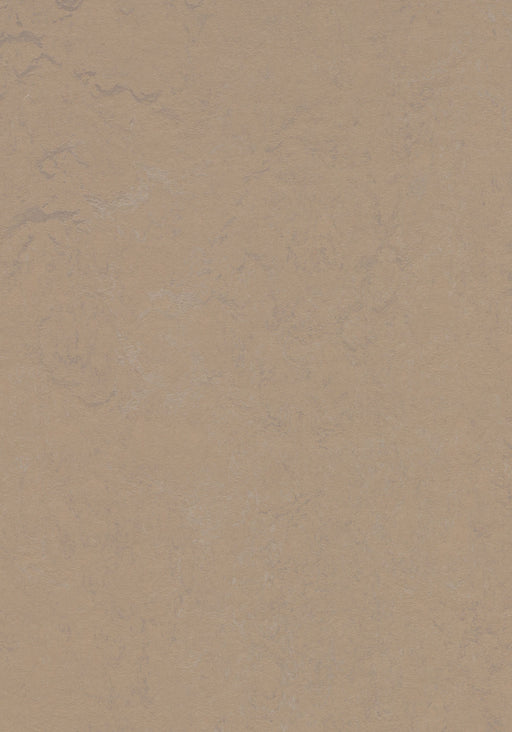Marmoleum Sheet Concrete - Drift B&R: Flooring & Carpeting Forbo USA 