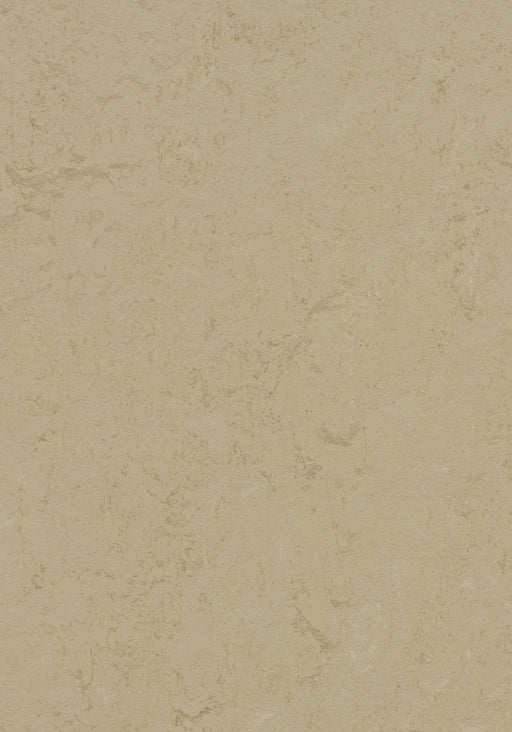 Marmoleum Sheet Concrete - Kaolin B&R: Flooring & Carpeting Forbo USA 