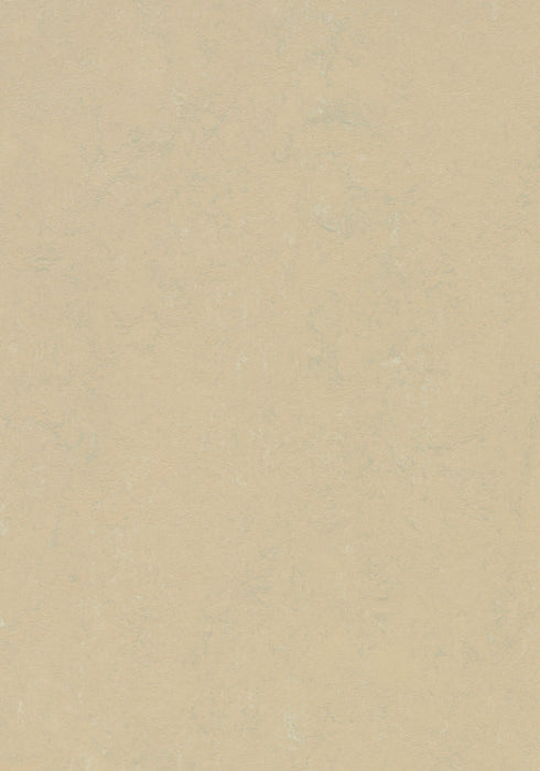 Marmoleum Sheet Concrete - Mica B&R: Flooring & Carpeting Forbo USA 