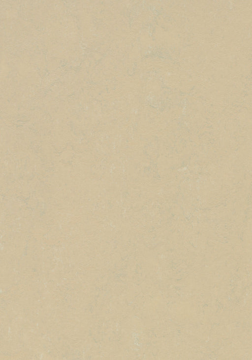 Marmoleum Sheet Concrete - Mica B&R: Flooring & Carpeting Forbo USA 