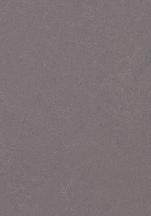 Marmoleum Sheet Concrete - Stella B&R: Flooring & Carpeting Forbo USA 