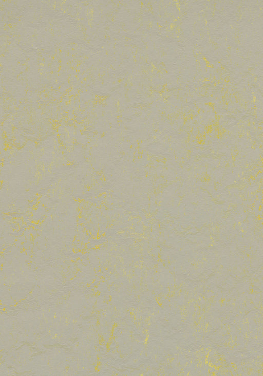 Marmoleum Sheet Concrete - Yellow Shimmer B&R: Flooring & Carpeting Forbo USA 