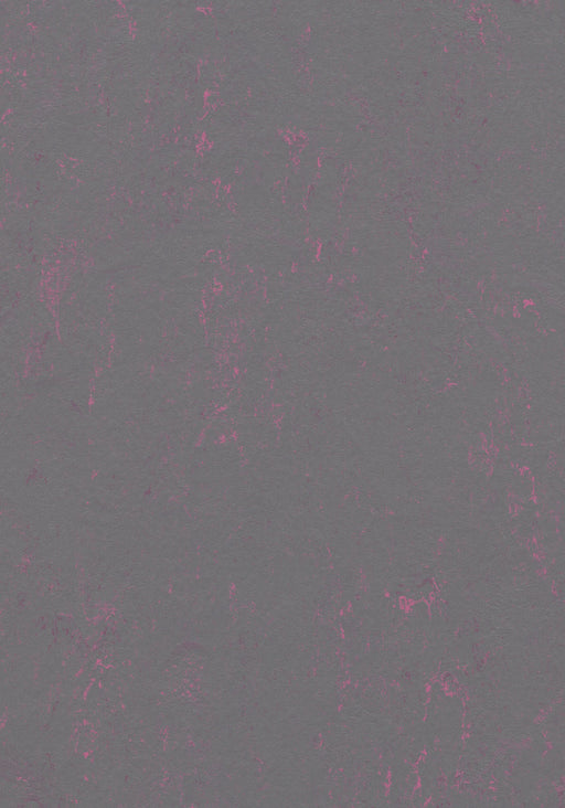 Marmoleum Sheet Concrete - Purple Shimmer B&R: Flooring & Carpeting Forbo USA 