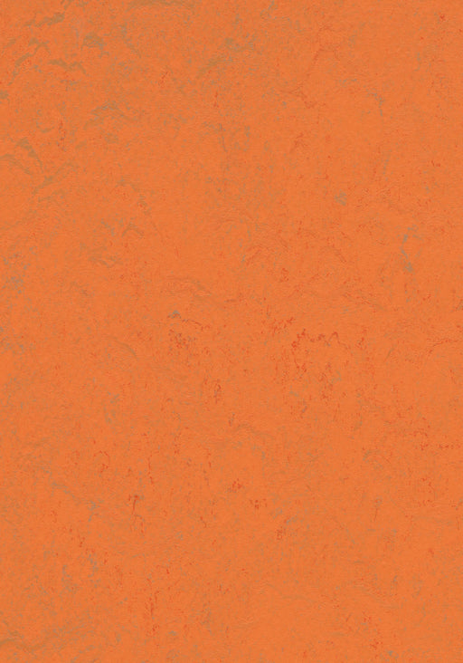 Marmoleum Sheet Concrete - Orange Glow B&R: Flooring & Carpeting Forbo USA 