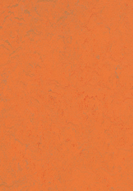 Marmoleum Sheet Concrete - Orange Glow B&R: Flooring & Carpeting Forbo USA 