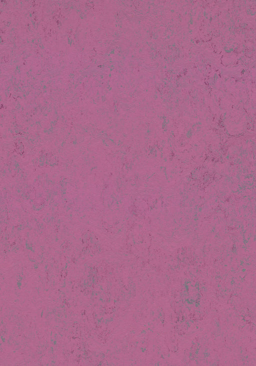 Marmoleum Sheet Concrete - Purple Glow B&R: Flooring & Carpeting Forbo USA 