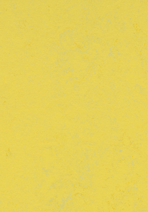 Marmoleum Sheet Concrete - Yellow Glow B&R: Flooring & Carpeting Forbo USA 