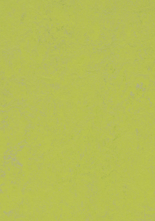Marmoleum Sheet Concrete - Green Glow B&R: Flooring & Carpeting Forbo USA 