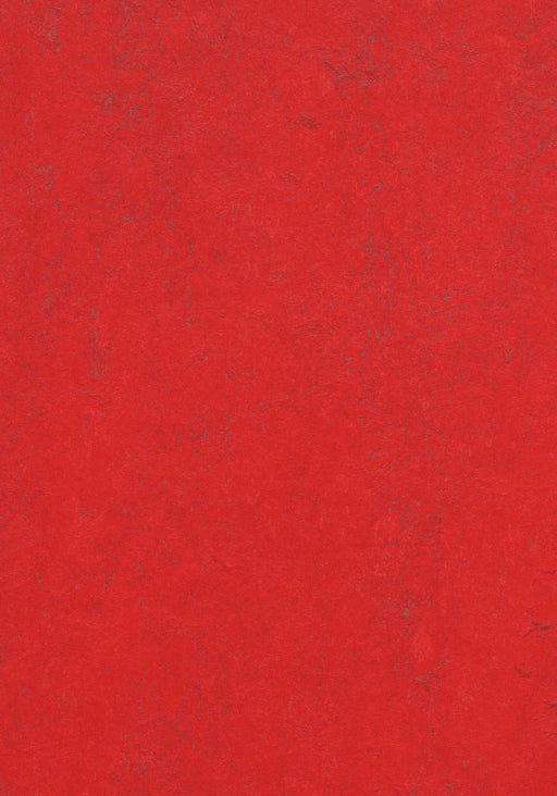 Marmoleum Decibel Sheet Concrete - Red Glow B&R: Flooring & Carpeting Forbo USA 